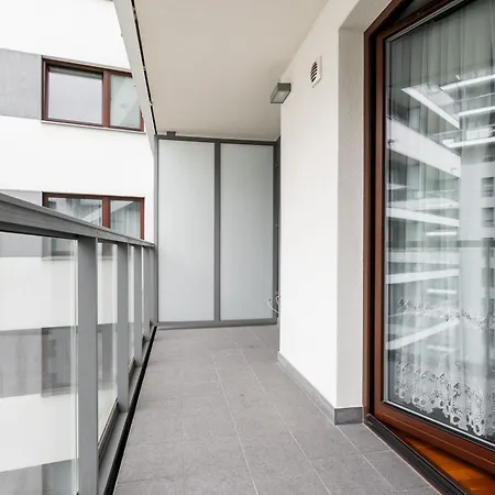 Business Arkadia By Vaya